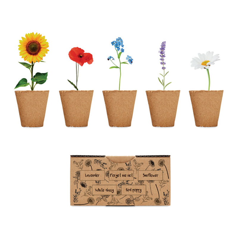 Blumen Zuchtset - Bild 3